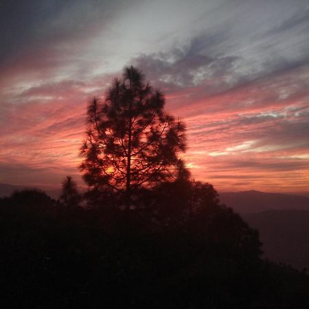 Mehra Cottage Алмора Номер фото